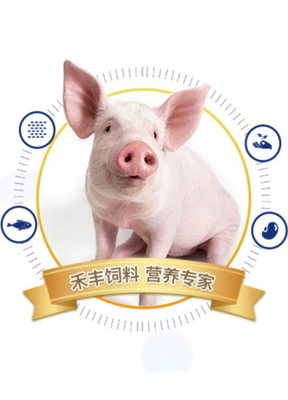 沈阳腾博会诚信为本,专业服务!反刍饲料快手店